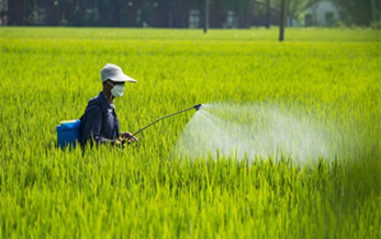 农业部对杀扑磷等3种农药采取限制性管理措施（2015年农业部公告第2289号）